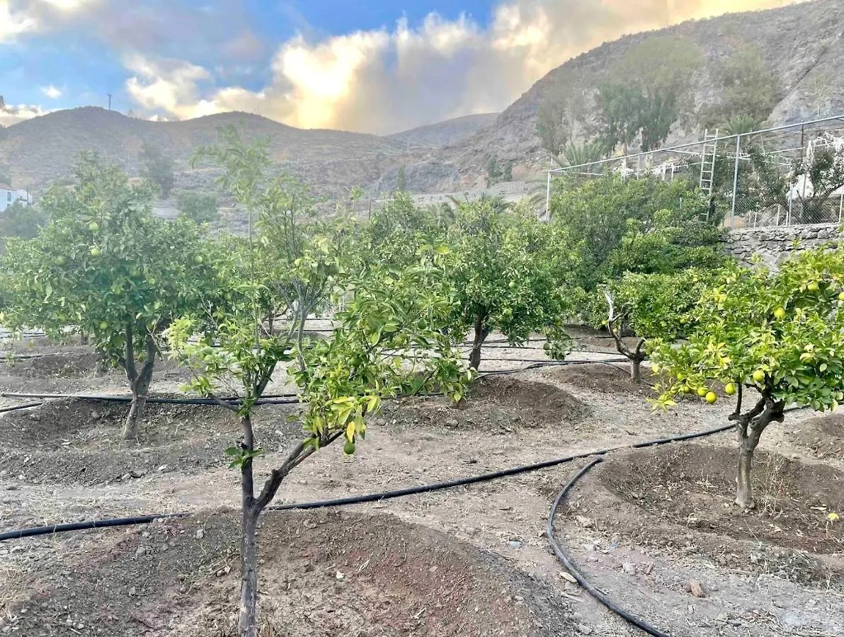 casa rural LA LIMERA con piscina privada Santa Lucía España